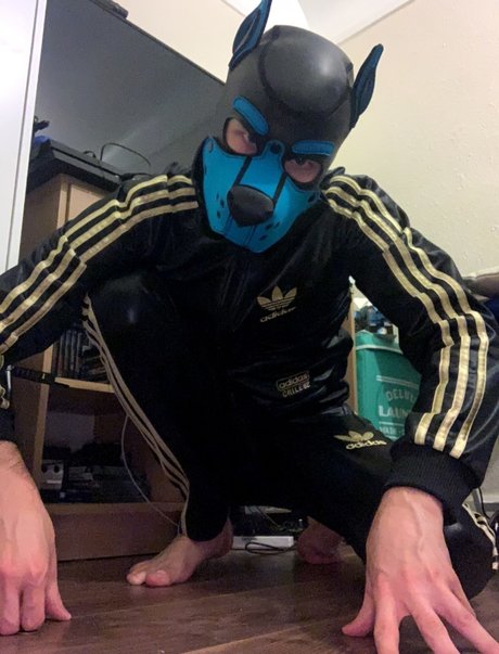 Pup Valto modèle nu galerie