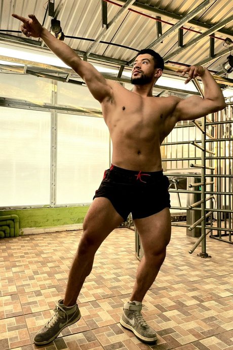 Texas modèle artistique galeries