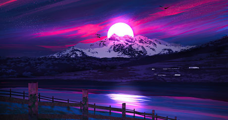 Marcos Vinicius actrice pornographique img