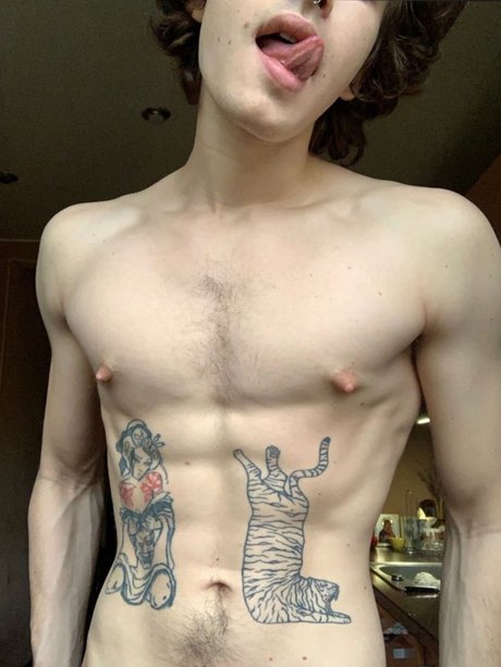 Martin_ star pornographique collection