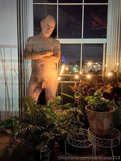 ImMark meilleure étoile photos