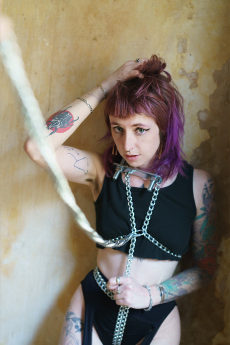 BeautifulDirt meilleure étoile galerie