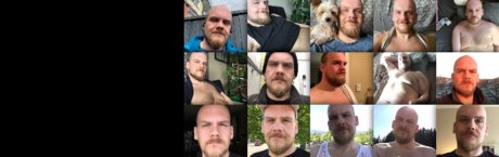 Steve The Bear Bare étoile exclusive galeries