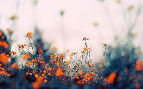 Mary Divine modèle nu archive