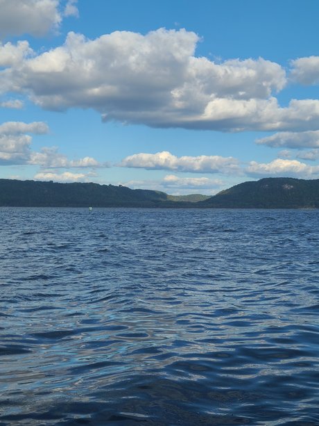 Mr D étoile gratuite image