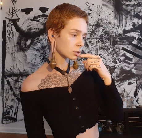 Devin_ star exclusive galerie