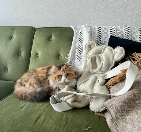 Mae Col modèle sympa galeries