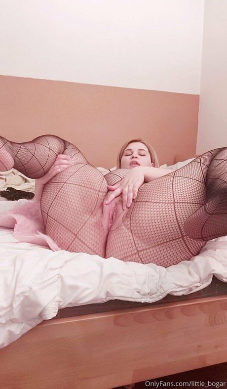 little bogar belle étoile image