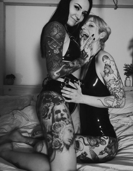 fellation transexuelle onlyfans exclusivité de haute qualité galeries