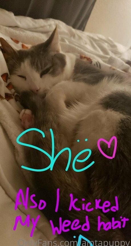 fans de mangeurs de cul uniquement sexe nu img