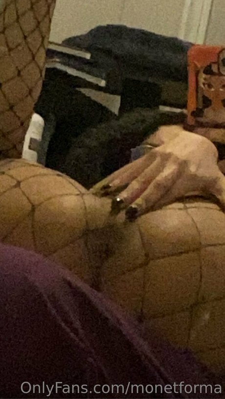 Monetforma étoile exclusive galerie