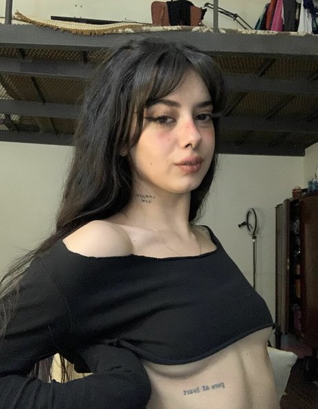 meli777 haut étoile galerie