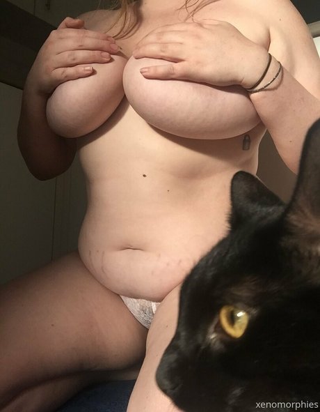 xenomorphies modèle adulte collection