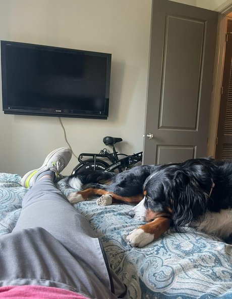 tiktokcody modèle sympa img