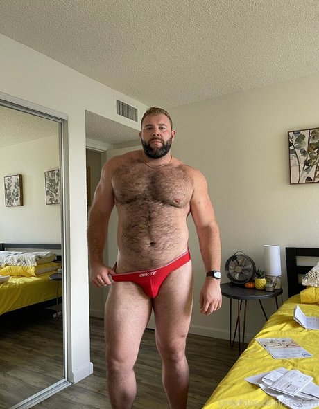 chaton courbé onlyfans meilleur sexy collection