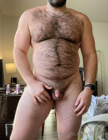 ste3evn nus étoiles image