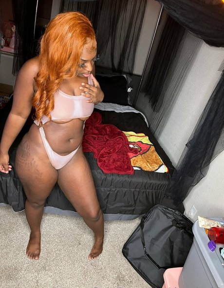 donsha21 modèle collection