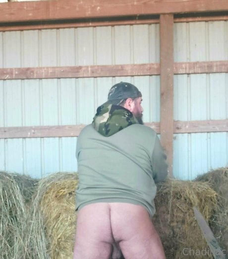 chadillac42 art de star du porno image