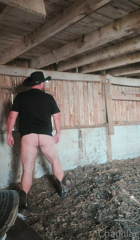 chadillac42 modèle galeries