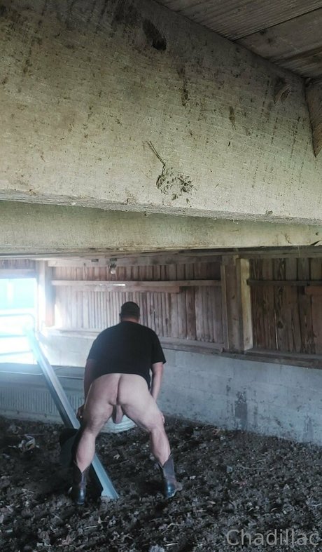 chadillac42 sexe de star du porno photos