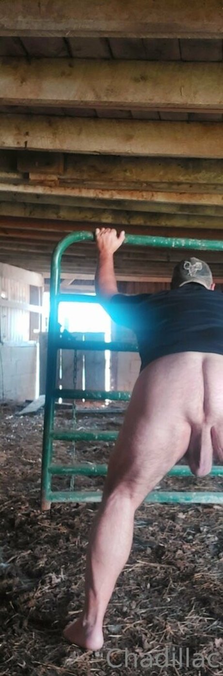 belle-fille onlyfans hd gratuit collection