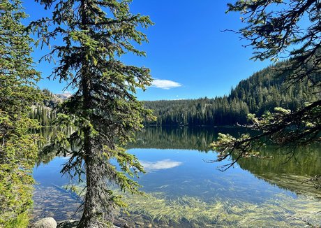 branlette uniquementfans sexe exclusif des photos