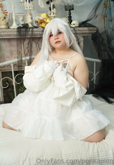 ponkapion modèle de haute qualité galerie