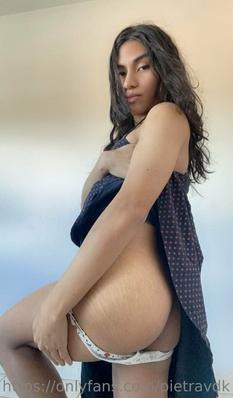 pietravdk modèle de haute qualité galerie