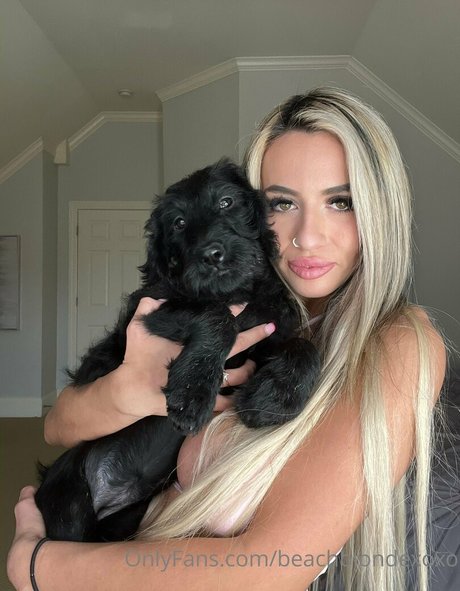 beachblondexoxo star pornographique collection