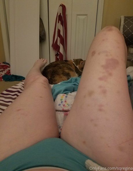 sqregina star du porno chaud image