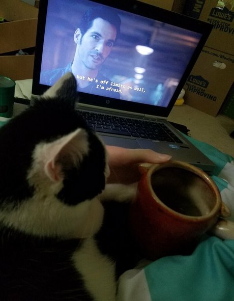 sqregina actrice hd collection