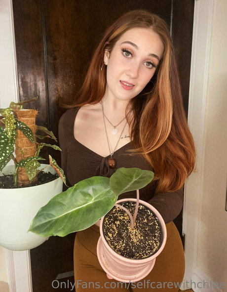 belle-fille onlyfans plutôt meilleur images