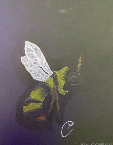 aubiegfree Profilfoto