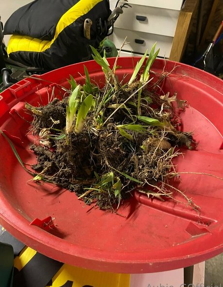 aubiegfree actrice des photos