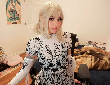 oxilleryof star du porno érotique collection