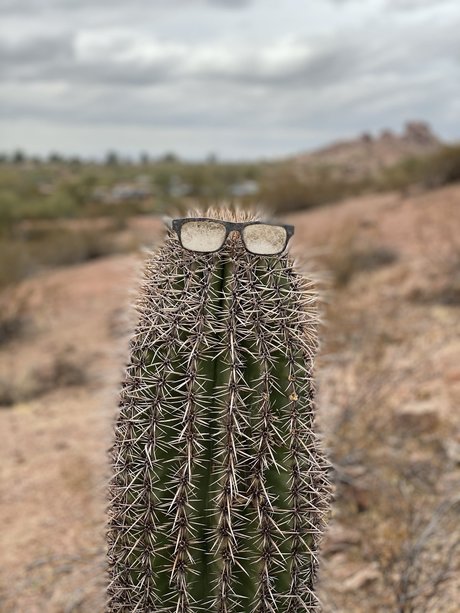 Only D art étoile galerie