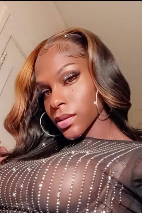 Beckham Bunz star du porno en haute qualité collection