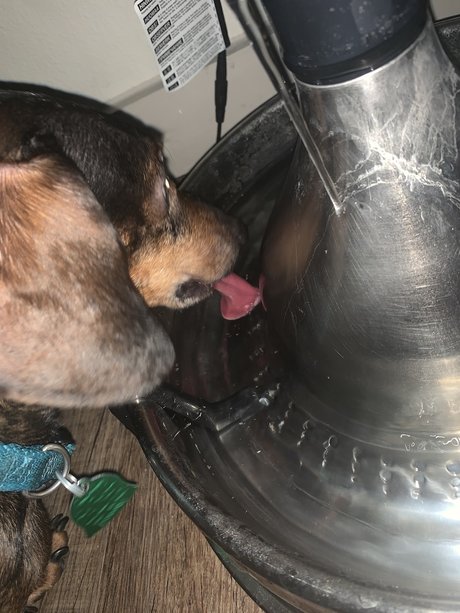 _cumm top star galerie