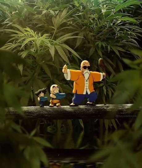 Benn Harris star du porno chaude images