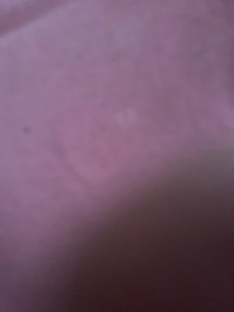 Michele Alexandriaa sexe de star du porno img