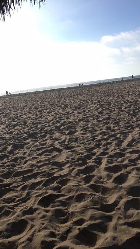 Mr Random star du porno adulte photo