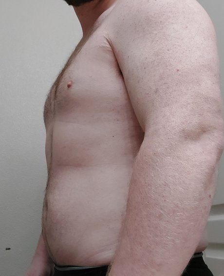 Bashk nus de stars du porno collection