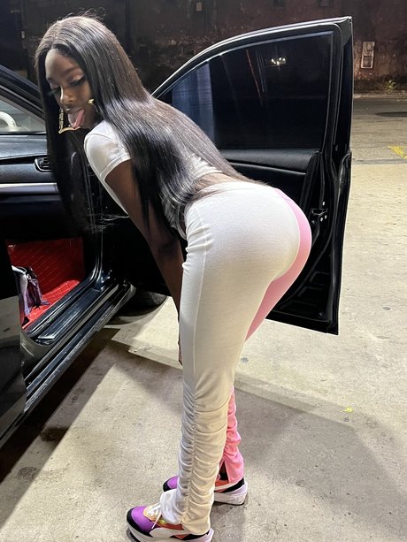 Millionares modèle gratuit archive