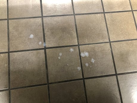 THE ASS EATER actrice porno galeries