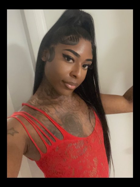 Miss MAJOR Pain modèle meilleur img