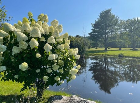 Miss Jen meilleure star du porno photos