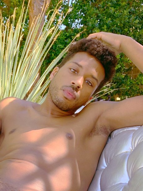 Jericho Rose star érotique images