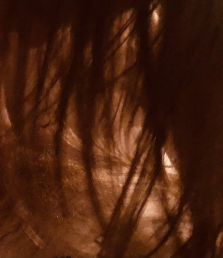 HiddenBrooke_ modèle adulte photo