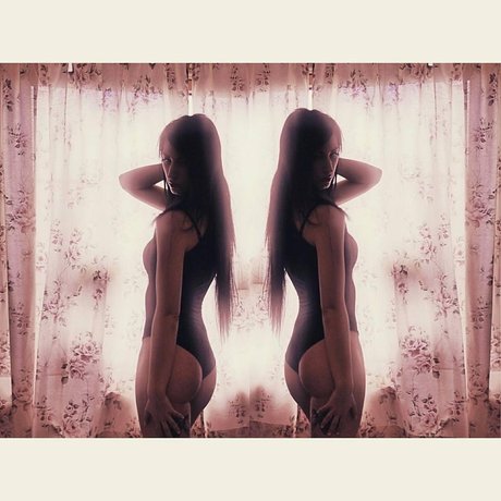 Hilton art de star du porno images