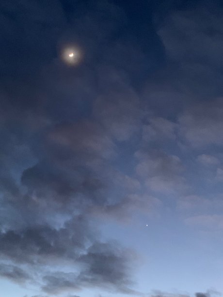 Jordan Finlayson star du porno adulte galerie